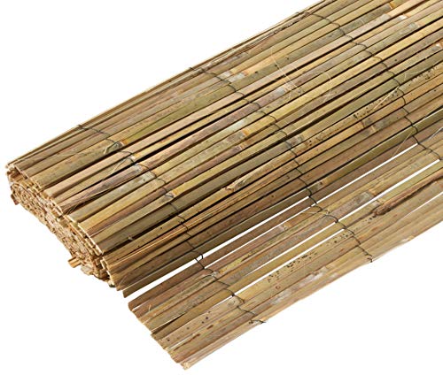 MGP Bamboo Slat Fence