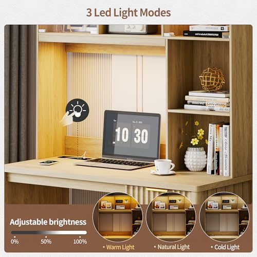 FREDEES LED Study Desk with Hutch, Home Office Desk with Charging Station & Storage Drawer, 70'H Writing Table with Glass Display Cabinet, 3 Color Light Computer Desks for Study, Wood FREDEES