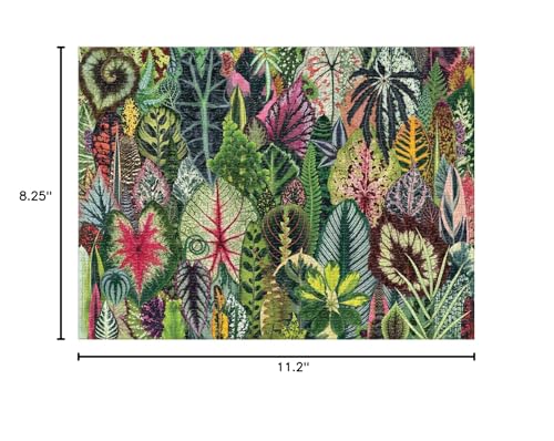 Galison Houseplant Jungle 1000 Piece Jigsaw Puzzle for Adults – Plant Jigsaw Puzzle with Mix of Succulents & Other Household Plants – Fun Indoor Activity, Multicolor