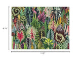 Galison Houseplant Jungle 1000 Piece Jigsaw Puzzle for Adults – Plant Jigsaw Puzzle with Mix of Succulents & Other Household Plants – Fun Indoor Activity, Multicolor Galison