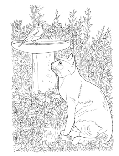 Creative Haven Lovable Cats and Dogs Coloring Book: Relax & Unwind with 31 Stress-Relieving Illustrations (Adult Coloring Books: Pets) Dover Publications