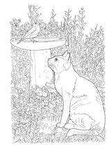 Creative Haven Lovable Cats and Dogs Coloring Book: Relax & Unwind with 31 Stress-Relieving Illustrations (Adult Coloring Books: Pets) Dover Publications