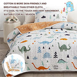 Joyreap 2-Piece Cotton Quilt Set Twin, Cute Dinosaur Reversible Design for Kids Boys n Girls, Breathable Skin-friendly Quilt Bedspread Bed Cover for All Season, 1 Quilt and 1 Pillow Sham- 68x86 inches Joyreap