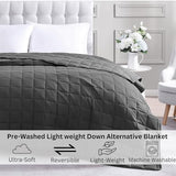 Casa Platino Twin Duvet Insert - Soft Blankets Lightweight Twin Size Bedding, Cooling Pre-Washed - Down Alternative Blanket - Charcoal Casa Platino