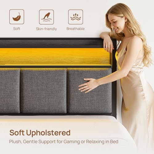 Rolanstar Bed Frame Queen Size with Charging Station and LED Lights, Upholstered Storage Headboard with Drawers, Heavy Duty Metal Slats, No Box Spring Needed, Noise Free, Easy Assembly, Dark Grey Rolanstar