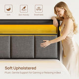 Rolanstar Bed Frame Queen Size with Charging Station and LED Lights, Upholstered Storage Headboard with Drawers, Heavy Duty Metal Slats, No Box Spring Needed, Noise Free, Easy Assembly, Dark Grey Rolanstar