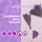 Dried Lavender Bundles, Uieke Natural Dried Lavender Flowers 280-300 Stems 16“ for Home Weeding Decoration Flower Arrangements Home Fragrance 2 Bundles Uieke