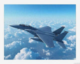 Eagle Jet Plane Paint by Number for Adults DIY Painting Kits Arts Crafts for Home Decor Gift 16x20in LAENAKR