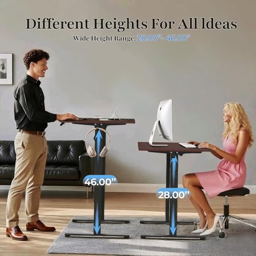 Electric Standing Desk 48 x 24 Inches - Height Adjustable Sit Stand Desk with Black Top & Black Frame, Home Office Desk for Work/Gaming, Quiet Motor, Memory Presets, Black Generic