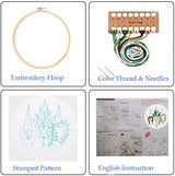 Plancholo Christmas Embroidery Kit for Beginner Cross Stitch Kit for Adults, Printed Embroidery Starter Kit Crafts with Stamped Pattern Embroidery Hoops Floss Thread Needles(Christmas Pine Cones)