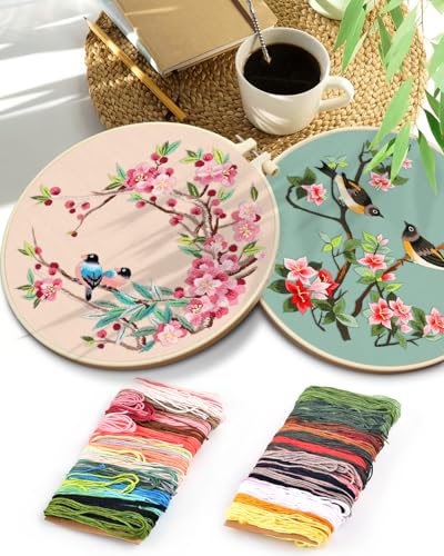 TINDTOP Embroidery Kit for Adult, Owl Embroidery Kit for Beginners Include Embroidery Cloth Hoops Threads for Craft Lover Hand Stitch with Embroidery Skill Techniques (Bird) TINDTOP