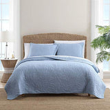 Tommy Bahama - Queen Quilt, Reversible Cotton Bedding, Pre-Washed for Added Softness (Costa Sera Blue, Queen) Tommy Bahama