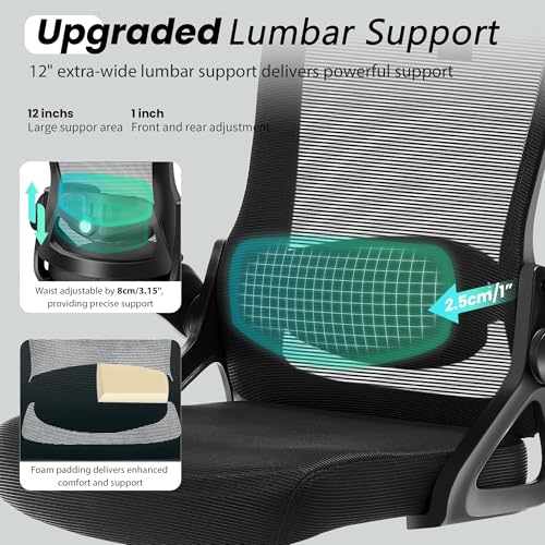 Fizzin Ergonomic Office Chair, 400 LBS Computer Chairs with Adjustable Lumbar Support, Breathable Mesh Desk Chair Ergonomic with Thickened Cushion, Comfy Home Office Desk Chair (Black) Fizzin