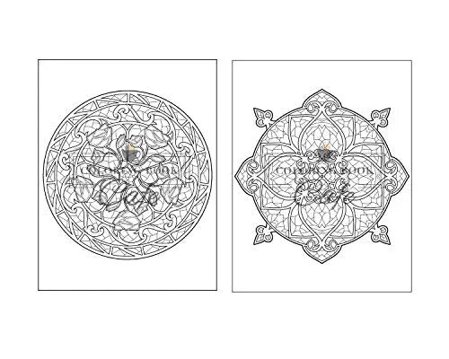 125 Mandalas: An Adult Coloring Book Featuring 125 of the World’s Most Beautiful Mandalas for Stress Relief and Relaxation Independently Published Iaerlllt