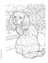 Creative Haven The Dog Lovers' Coloring Book (Adult Coloring Books: Pets) WoodArtSupply