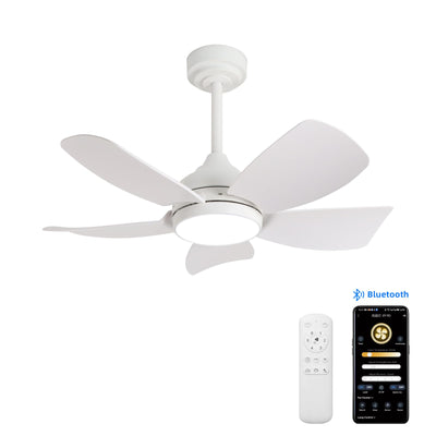 36 inch Ceiling Fan with Light and Remote Control,White 5 Blade Modern Ceiling Fans for Living Room Bedroom Farmhouse indoor, Quick-Install,Reversible DC Motor, Dimmable, 6 Airflow & 3 Light Colors