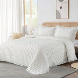 HIARUO 2-Piece Twin Quilt Set - Soft Warm Ultrasonic Reversible Pleated Ruffled Coverlet Bedspread Set (68 x 90 Inch) with 1 Pillow Sham (20 x 26 Inch), Lightweight White HIARUO