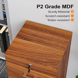 VINGLI 2-Drawer Rolling File Cabinet with Lock, Wood Mobile Filing Cabinet for Hanging Letter Size Filings Under Desk File Cabinet for Home Office, VINGLI