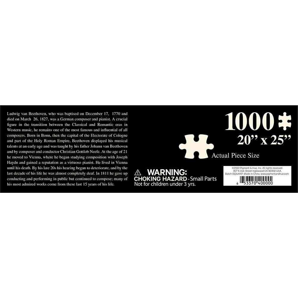 Musical Notes Fur Elise by Ludwig Van Beethoven 1000 Piece Jigsaw Puzzle for Adults by Pigment & Hue Generic
