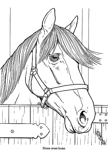 Wonderful World of Horses Coloring Book (Dover Animal Coloring Books) Dover Publications