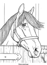 Wonderful World of Horses Coloring Book (Dover Animal Coloring Books) Dover Publications