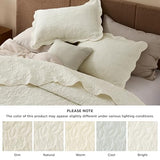 Bedsure Quilts Queen Size - Ultra Soft Pre-Washed Cloud-Like Bedding, All-Season Lightweight Comforter for Country Bedroom, Leaf Design Coverlet in Cream Yellow, 90 x 96 Inches Bedsure
