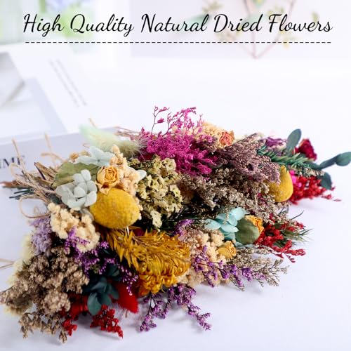Tinideya 48 Pcs Dried Flowers Bouquet Boho Mini Dried Flower with Stem Small Dried Floral Plants Mixed Natural Flowers Bundles for Crafts Vase DIY Photo Props Wedding Decoration Tinideya