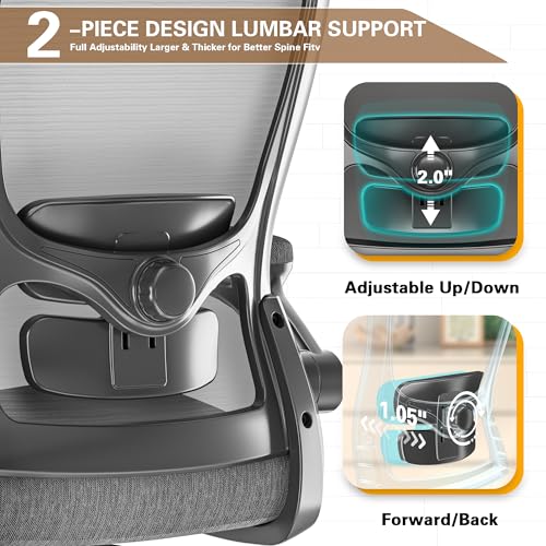 Zeonsit Ergonomic Office Chair - High Back Desk Chair with Adjustable Lumbar Support, Breathable Mesh Back, 330LBS Capacity, Easy Assembly, for Home Office Executive Computer Task Zeonsit