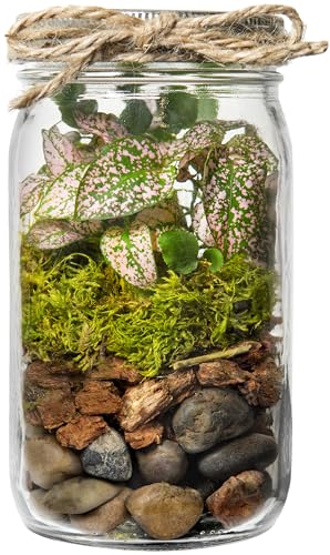 Portland Terrarium kit - DIY Mason Jar Terrarium Kit SuperMoss