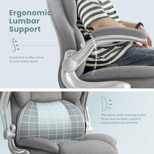IWMH Executive Office Chair, Ergonomic Big and Tall Computer Desk Chair, High Back with Padded Flip-up Armrest, Lumbar Support Swivel Rolling Chair Grey IWMH
