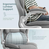 IWMH Executive Office Chair, Ergonomic Big and Tall Computer Desk Chair, High Back with Padded Flip-up Armrest, Lumbar Support Swivel Rolling Chair Grey IWMH