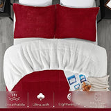 downluxe Ultra-Soft Micromink Sherpa King Size Comforter Set with 2 Pillow Shams - 3-Piece Set - Red - Plush Warm Fall Winter Bedding Comforter Sets downluxe
