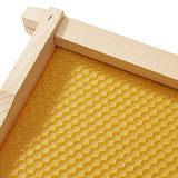 Honey Keeper Complete Deep Hive Body Kit, Painted and Assembled Beehive with 10-Frames, White Honey Keeper