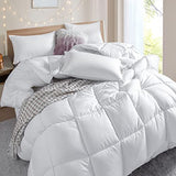 Winter Extra Warm White King Size Down Alternative Comforter, Heavyweight All Season Fiberfill Comforter Duvet Insert 106x90 with Corner Tabs - Ultra Soft Brushed Microfiber Shell Dorrin Nessin