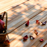 PHI VILLA 63" Acacia Wood Backless Picnic Bench Set – Durable Outdoor Dining Benches for 6 People, Classic Brown and Black PHI VILLA