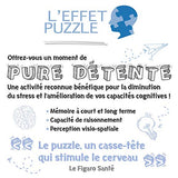 Ravensburger Harry Potter vs Voldemort 1000 Piece Jigsaw Puzzle for Adults - 15170 - Every Piece is Unique, Softclick Technology Means Pieces Fit Together Perfectly Ravensburger