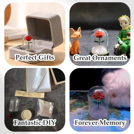 Lifelisa Pet Hair Memorial Bottle, Dog Cat Fur Memorial Keepsake, Pet Urns with Eternal Rose DIY, Dog Ashes Keepsake Small Pet Urn for Cat, Dog Memorial Gifts for Pet Loss(Red) (Red) Lifelisa