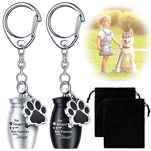 Tudomro 2 Pcs Pet Dog Urns Keychain for Ashes with 2 Storage Bags Small Cat Cremation Keepsake Jewelry Paw Print Memorial Urn(Fresh Style)