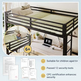Allewie 72 Inches Tall Loft Bed Twin Size with Ladder and Safety Guardrail for Teens and Adults, Heavy Duty Metal Single Loft Bed for Small Space, Noise Free, Black Allewie