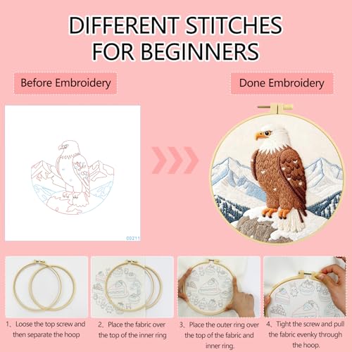 Zhenqing Eagle Embroidery Kit for Beginners, Pre-Printed 29x29cm Cotton Fabric with 20cm Hoop, Majestic Eagle on Snowy Mountain Design (C0211)