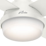 Hunter Fan Company 59242 Hunter 52" Dempsey Indoor Low Profile Ceiling Fan with Light, Fresh White Finish Hunter