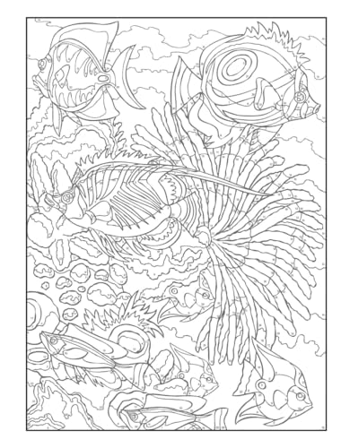 Creative Haven Sea Life Color by Number Coloring Book (Adult Coloring Books: Sea Life) Dover Publications