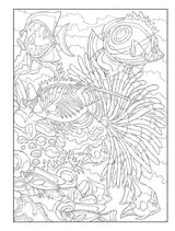 Creative Haven Sea Life Color by Number Coloring Book (Adult Coloring Books: Sea Life) Dover Publications
