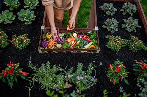 Vita Urbana 6 Foot x 6 Foot Embossed Vinyl Keyhole Garden with Composting Basket, Espresso Brown, PVC, BPA and Pthalate Free, VT17507 Vita