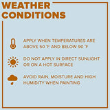 INSL-X EGG310S9A-1K Garage Guard Waterbased Epoxy Semi-Gloss Paint 1 Gallon Kit Showroom Gray INSL-X