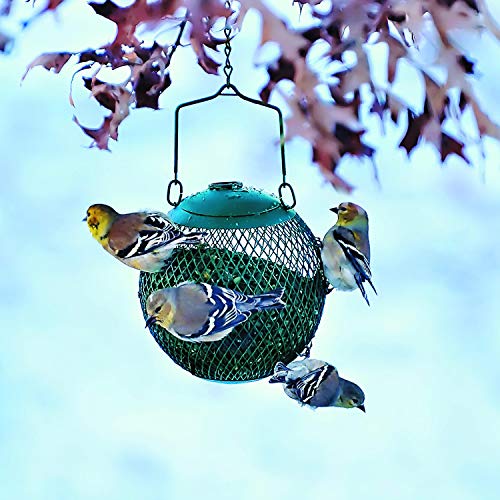 Perky-Pet GSB00344 Green Seed Ball Wild Bird Feeder Perky-Pet