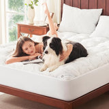 PRIMESOFT 100% Waterproof Queen Size Mattress Topper, Thick Pillow Top Mattress Pad，Up to 21 Inch Deep Pocket,Soft Breathable Mattress Pad for Back Pain, Protector Cover(White) Primesoft