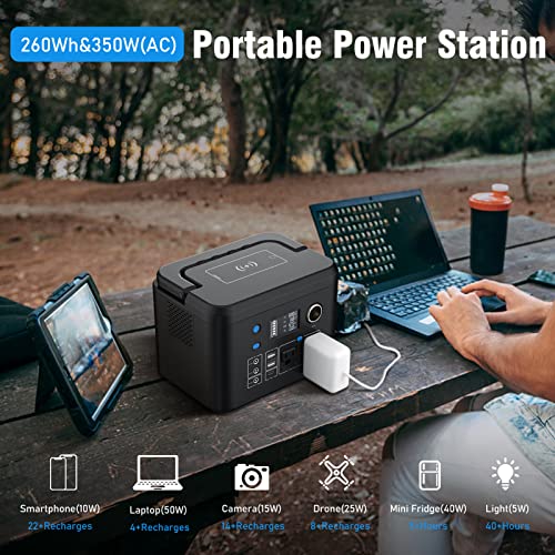 Portable Power Station 350W, Powkey 260Wh/70,000mAh Backup Lithium Battery, 110V Pure Sine Wave Power Bank with 2 AC Outlets, Portable Generator for Outdoors Camping Travel Hunting Emergency - WoodArtSupply