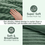 Intelligent Design Twin Comforter Set, Cozy Plush Bedding, Microfiber Reverse, 2 Piece, Lightweight, Super Soft Ribbed Velvet Comforter 1 Sham, All Season Fluffy Bed Set, Avril, Twin/Twin XL Green Intelligent Design