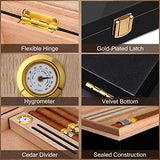 Bald Eagle High Gloss Cigar Humidor Cigar Box for 10-15 Cigars, Real Solid Spanish Cedar Wood, Luxury Hygrometer and Humidifier, Desktop Humidors Bald Eagle